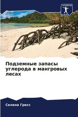 bokomslag ????????? ?????? ???????? ? ????????? ??&#1089