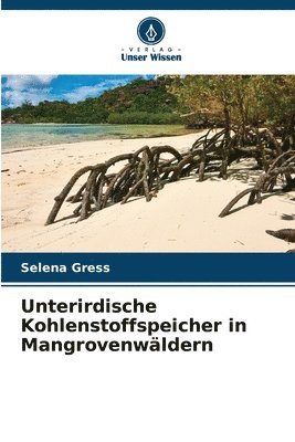 bokomslag Unterirdische Kohlenstoffspeicher in Mangrovenwldern