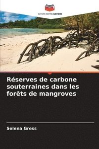 bokomslag Réserves de carbone souterraines dans les forêts de mangroves