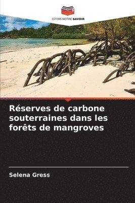 bokomslag Réserves de carbone souterraines dans les forêts de mangroves