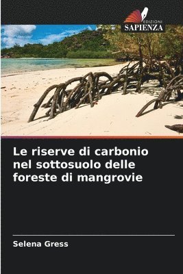 Le riserve di carbonio nel sottosuolo delle foreste di mangrovie 1