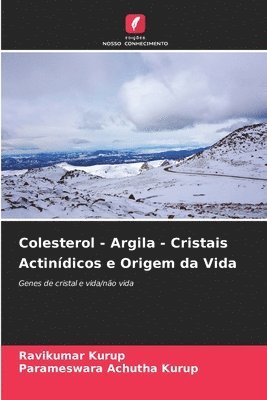 bokomslag Colesterol - Argila - Cristais Actindicos e Origem da Vida