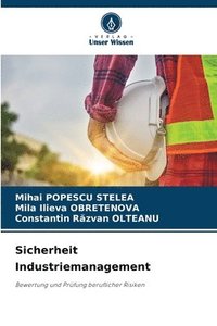 bokomslag Sicherheit Industriemanagement