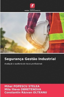 bokomslag Segurana Gesto Industrial