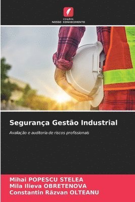 bokomslag Segurança Gestão Industrial