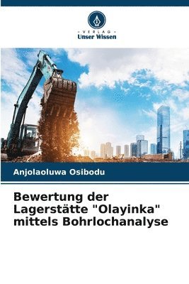 bokomslag Bewertung der Lagersttte &quot;Olayinka&quot; mittels Bohrlochanalyse