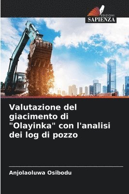Anjolaoluwa Osibodu - Valutazione del giacimento di "Olayinka" con l'analisi dei log di pozzo, Häftad