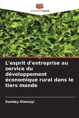 bokomslag L'esprit d'entreprise au service du dveloppement conomique rural dans le tiers monde