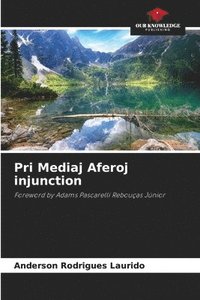 bokomslag Pri Mediaj Aferoj injunction