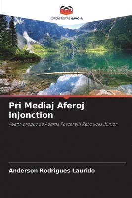 Anderson Rodrigues Laurido - Pri Mediaj Aferoj injonction, Häftad