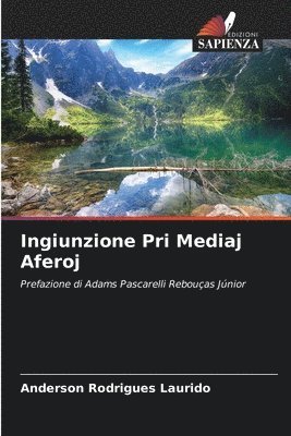 Ingiunzione Pri Mediaj Aferoj