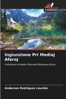 Ingiunzione Pri Mediaj Aferoj 1