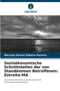 bokomslag Soziokonomische Schnittstellen der von Staudmmen Betroffenen