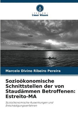 bokomslag Soziokonomische Schnittstellen der von Staudmmen Betroffenen