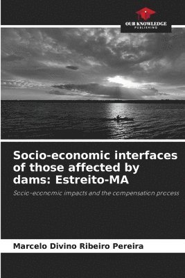 bokomslag Socio-economic interfaces of those affected by dams