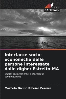 bokomslag Interfacce socio-economiche delle persone interessate dalle dighe