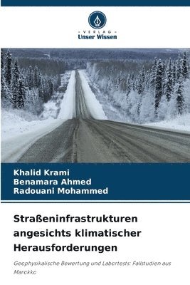 bokomslag Straßeninfrastrukturen angesichts klimatischer Herausforderungen