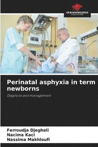 bokomslag Perinatal asphyxia in term newborns