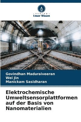 Govindhan Maduraiveeran, Wei Jin, Manickam Sasidharan - Elektrochemische Umweltsensorplattformen auf der Basis von Nanomaterialien, Häftad