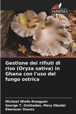 Gestione dei rifiuti di riso (Oryza sativa) in Ghana con l'uso del fungo ostrica 1