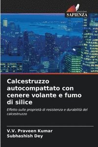 bokomslag Calcestruzzo autocompattato con cenere volante e fumo di silice