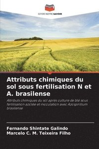 bokomslag Attributs chimiques du sol sous fertilisation N et A. brasilense