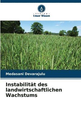 bokomslag Instabilitt des landwirtschaftlichen Wachstums