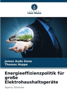 James Audu Gana, Thomas Hoppe - Energieeffizienzpolitik für große Elektrohaushaltsgeräte, Häftad