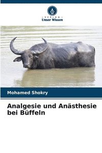 bokomslag Analgesie und Ansthesie bei Bffeln