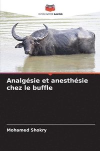 bokomslag Analgsie et anesthsie chez le buffle