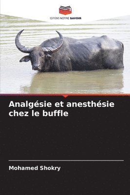 Analgsie et anesthsie chez le buffle 1