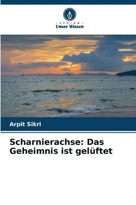 Scharnierachse 1