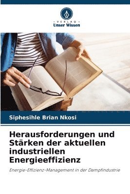 bokomslag Herausforderungen und Strken der aktuellen industriellen Energieeffizienz