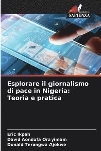 bokomslag Esplorare il giornalismo di pace in Nigeria