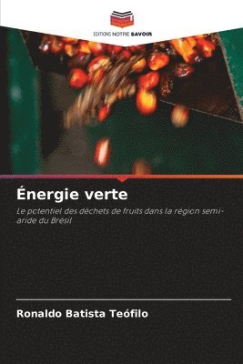 bokomslag Énergie verte