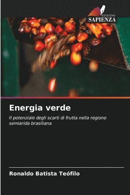 Ronaldo Batista Teófilo - Energia verde, Häftad