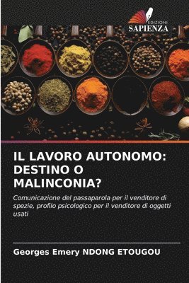 bokomslag Il Lavoro Autonomo