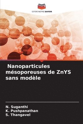 bokomslag Nanoparticules mésoporeuses de ZnYS sans modèle