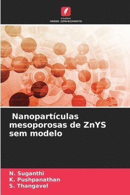 N Suganthi, K Pushpanathan, S Thangavel, N. Suganthi, K. Pushpanathan, S. Thangavel - Nanopartículas mesoporosas de ZnYS sem modelo, Häftad