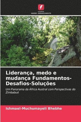 bokomslag Liderana, medo e mudana Fundamentos-Desafios-Solues