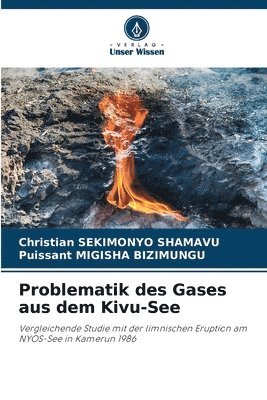 bokomslag Problematik des Gases aus dem Kivu-See