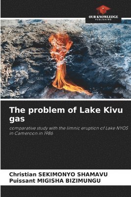 bokomslag The problem of Lake Kivu gas