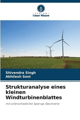 Shivendra Singh, Akhilesh Soni - Strukturanalyse eines kleinen Windturbinenblattes, Häftad