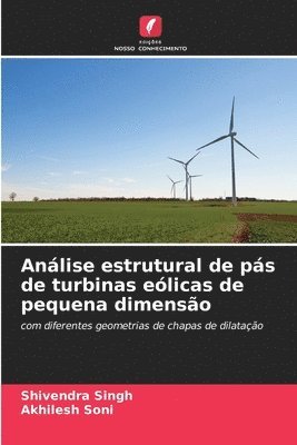 Shivendra Singh, Akhilesh Soni - Análise estrutural de pás de turbinas eólicas de pequena dimensão, Häftad