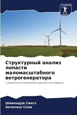 Шивендра Сингх, Акхилеш Сони - Структурный анализ лопасти маломасштабн&, Häftad