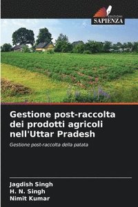 bokomslag Gestione post-raccolta dei prodotti agricoli nell'Uttar Pradesh