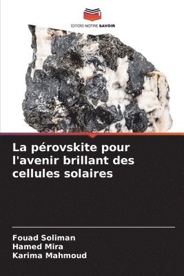 La provskite pour l'avenir brillant des cellules solaires 1