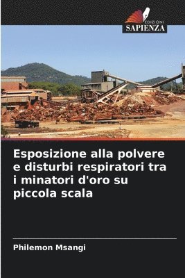 bokomslag Esposizione alla polvere e disturbi respiratori tra i minatori d'oro su piccola scala