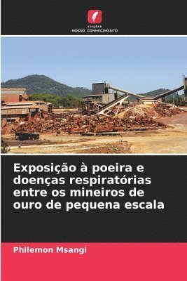Philemon Msangi - Exposição à poeira e doenças respiratórias entre os mineiros de ouro de pequena escala, Häftad