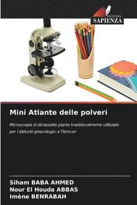 bokomslag Mini Atlante delle polveri